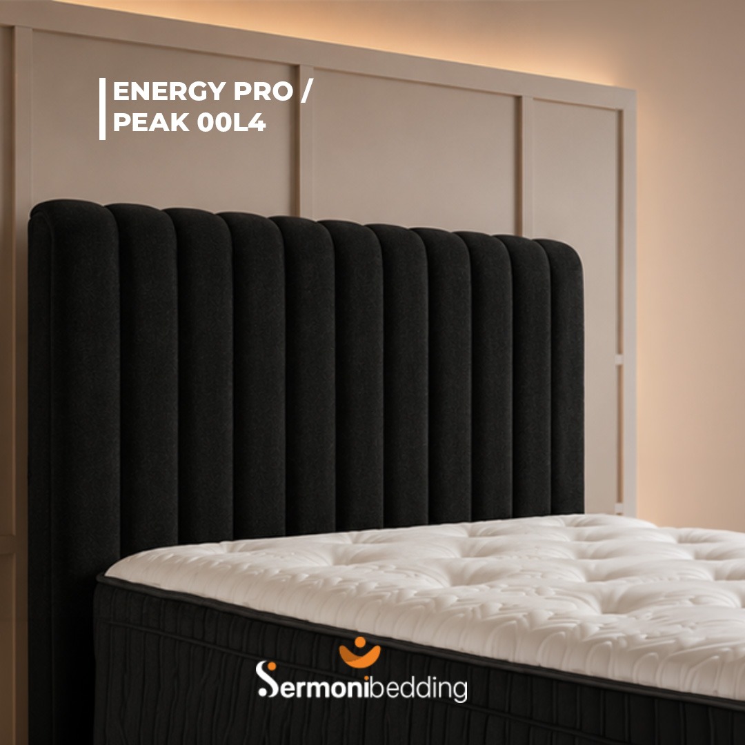 Energy Pro