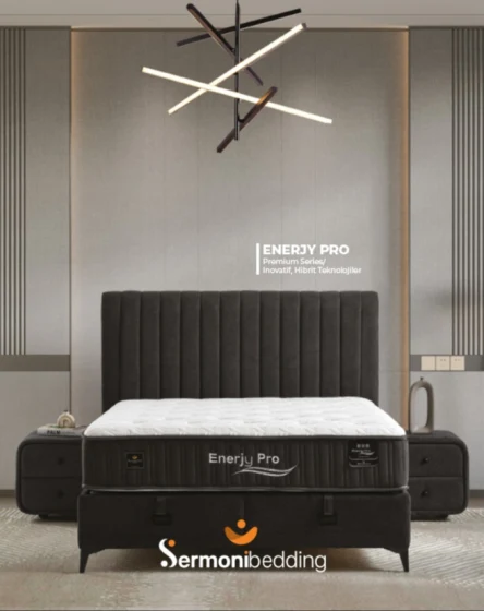 Energy Pro